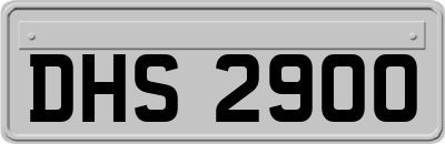 DHS2900