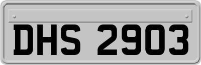 DHS2903