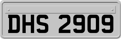 DHS2909