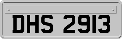 DHS2913
