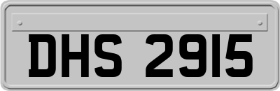DHS2915