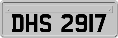 DHS2917