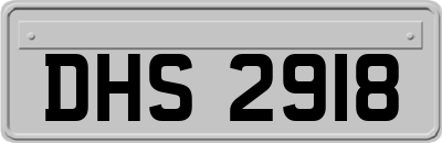 DHS2918