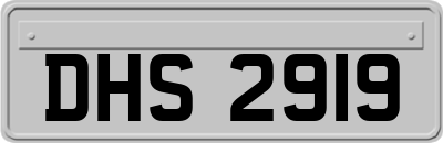 DHS2919