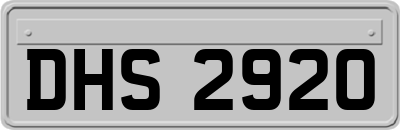 DHS2920