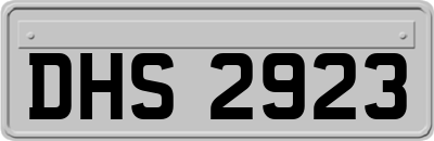 DHS2923