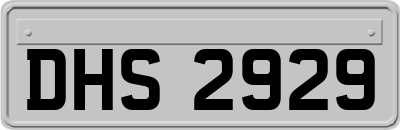 DHS2929