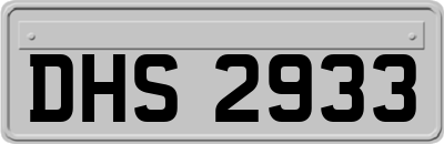DHS2933