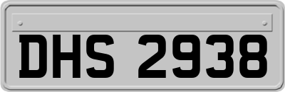 DHS2938