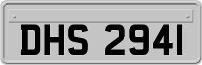 DHS2941