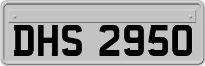 DHS2950