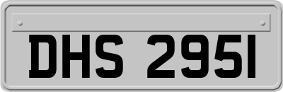DHS2951