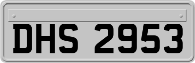 DHS2953