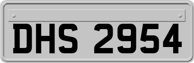 DHS2954