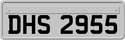 DHS2955