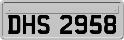 DHS2958