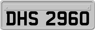DHS2960