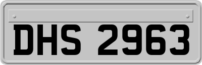 DHS2963