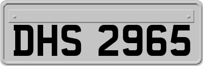 DHS2965