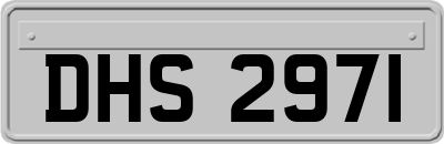 DHS2971
