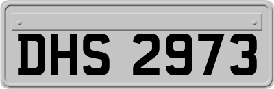 DHS2973