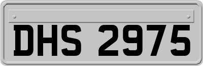 DHS2975