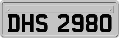 DHS2980