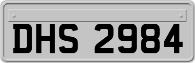 DHS2984