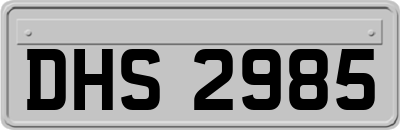 DHS2985