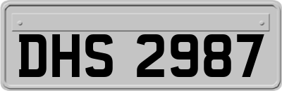 DHS2987