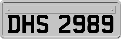 DHS2989