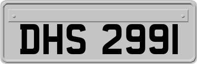 DHS2991