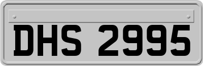 DHS2995