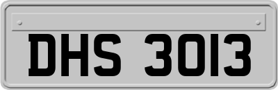 DHS3013