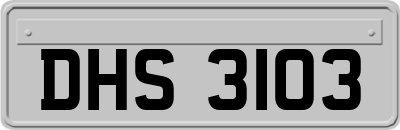 DHS3103