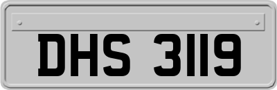 DHS3119