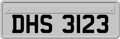 DHS3123