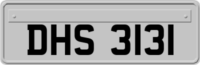 DHS3131