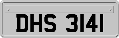 DHS3141