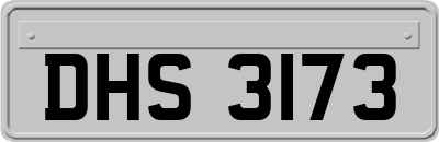 DHS3173