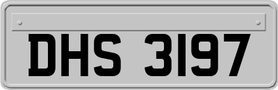 DHS3197