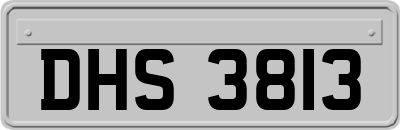 DHS3813