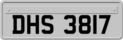 DHS3817