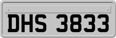 DHS3833