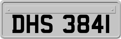 DHS3841