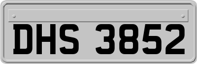DHS3852