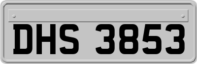 DHS3853