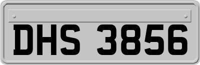 DHS3856