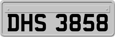 DHS3858