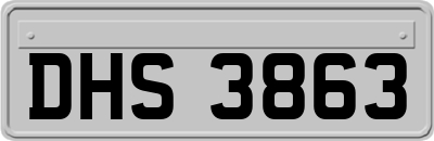 DHS3863